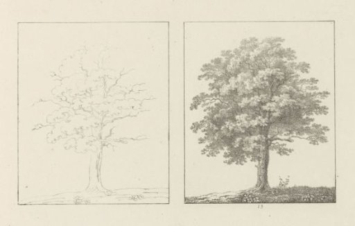 Album sheet with two depictions of two oak trees; left the design, right the execution