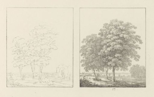 Album leaf with two depictions of a group of trees: left the design, right the execution