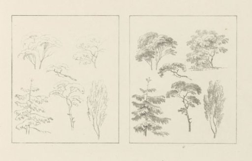 Album sheet with two depictions of different types of trees; left the design, right the execution