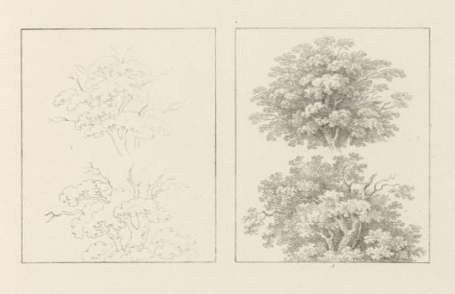 Album sheet with two depictions of trees full of leaves; left the design, right the execution