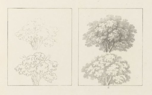 Album sheet with two depictions of trees full of leaves; left the design, right the execution