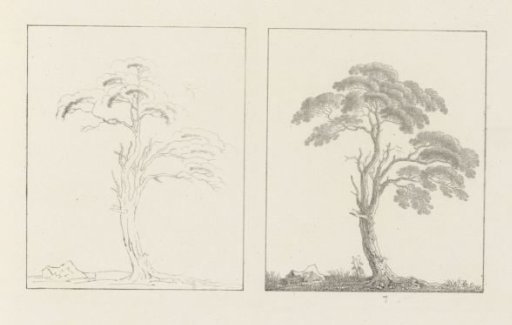 Album sheet with two depictions of two trees; left the design, right the execution