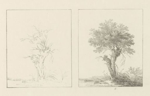 Album sheet with two depictions of two willows; left the design, right the execution