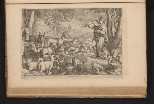 Orpheus Enchanting the Animals with His Music