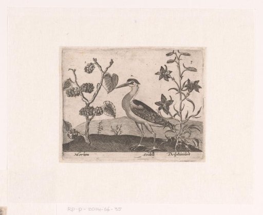 Print series with flowers and animals in a landscape