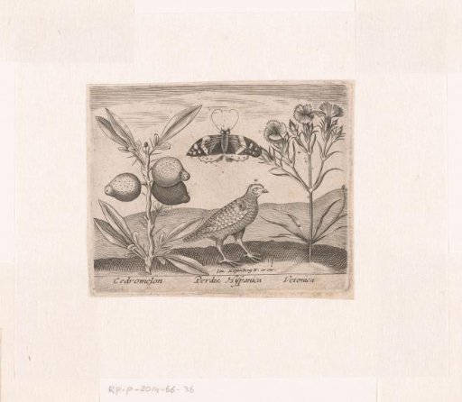 Print series with flowers and animals in a landscape