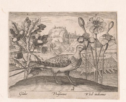 Print series with flowers and animals in a landscape