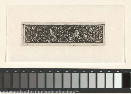 Small frieze with vines, flowers, a snail and a butterfly