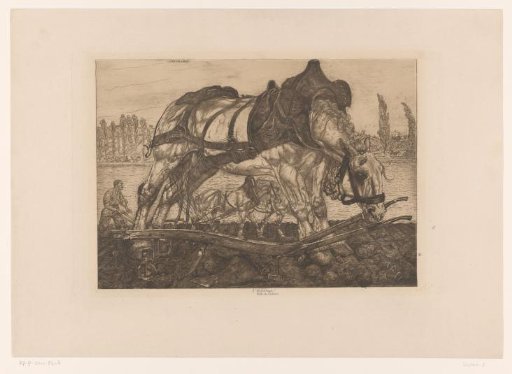 Plow horse on the banks of the Seine
