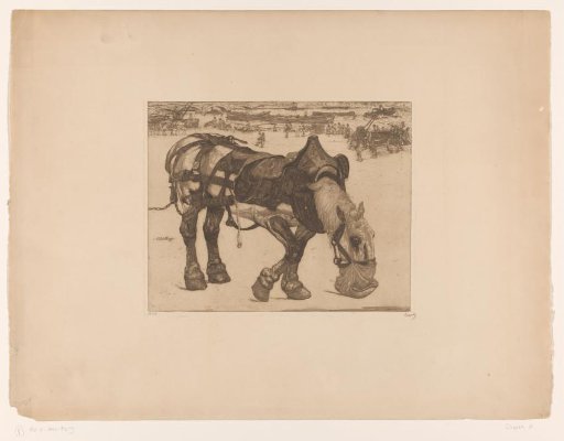 Plow horse eating