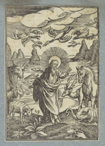 Fifth and Sixth Days of Creation: The Creation of the Birds, Fish, and Land Animals
