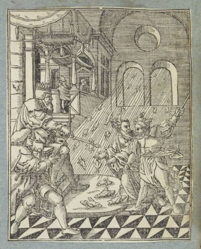 The Plague of Locusts