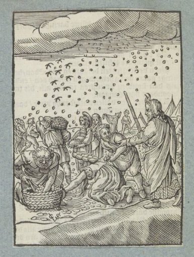 The Gathering of the Manna