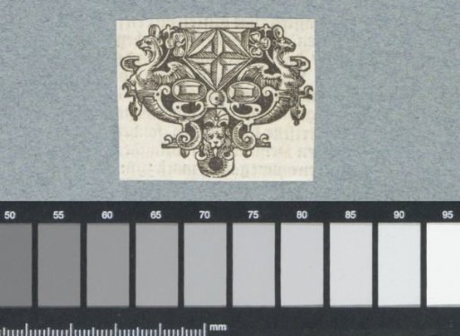 Ornament with Lion's Head