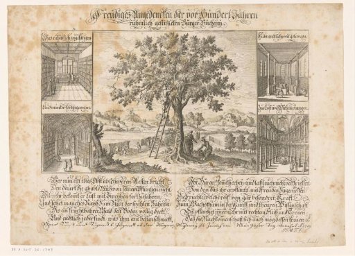 Apple pickers and four interior scenes with the Wasserkirche in Zurich