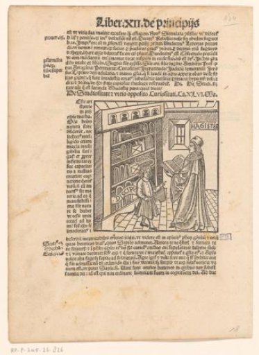 Teacher and pupil before a bookcase