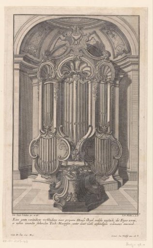 Organ in a niche