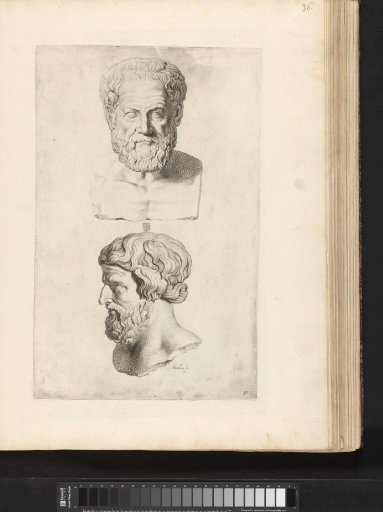 Busts of Hercules and a satyr