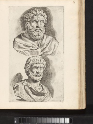 Busts of Jupiter Capitolinus