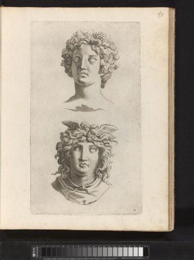 Busts of Agrippina and Livia