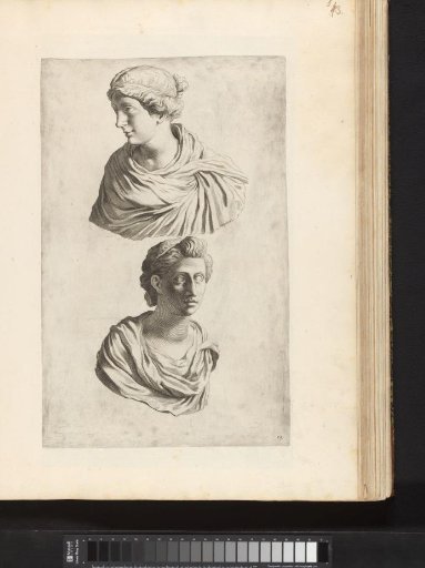 Two Portrait Busts of Roman Women