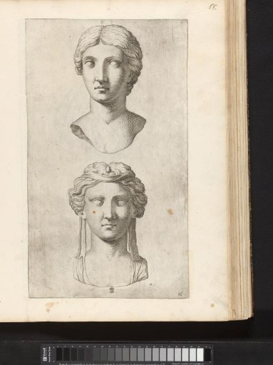Two Portrait Busts of Giulia Domna and Giulia Mamea