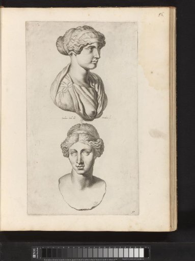 Busts of Antonia Minor and an Unknown Woman