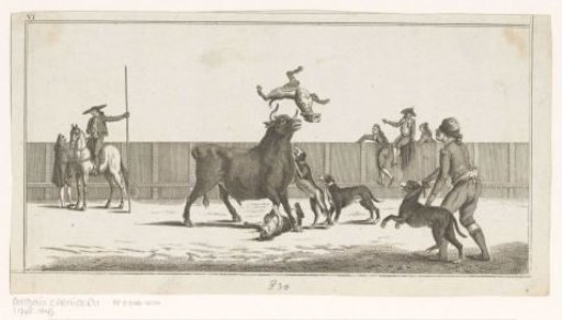 Bull attacked by dogs