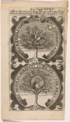 Tree with Pelican / Tree and Peacock