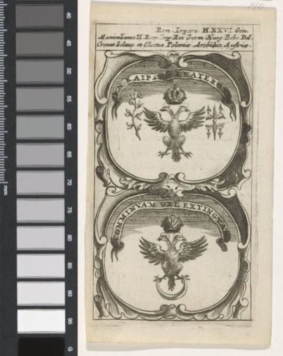 Double-headed eagle / Double-headed eagle on a half-moon