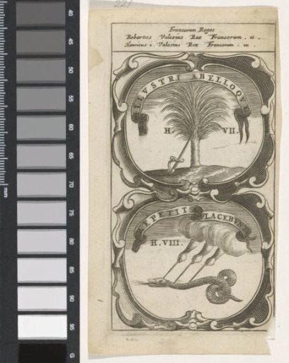 Sword leaning against a palm tree / Three hands with swords piercing a snake