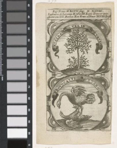 Tree / Two fighting birds