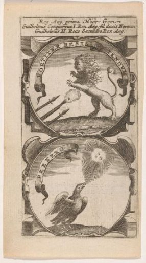 Wild Lion Shot / Bird of Prey at the Sun