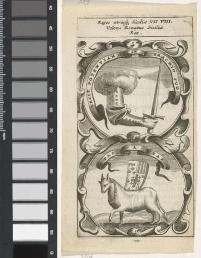 Armored Arm with Sword / Walking Ox