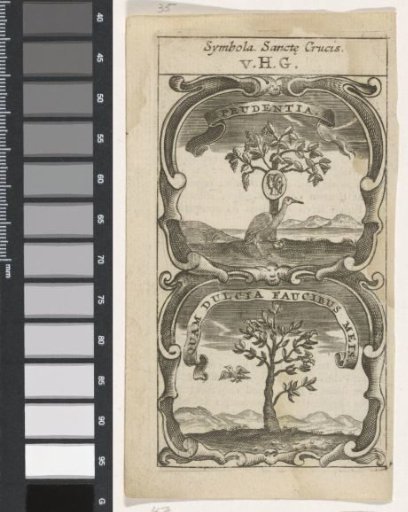 Crane by a Vine / Tree with Birds