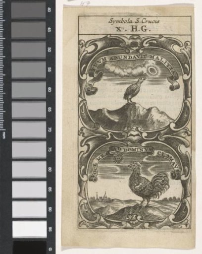 Chirping Chick / Crow Rooster