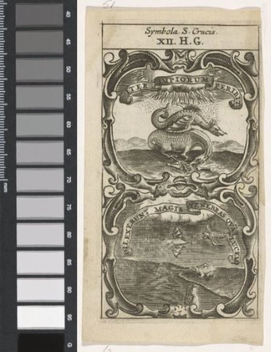 Two Dragons Destroyed by Fire / Four Animals That Love Darkness