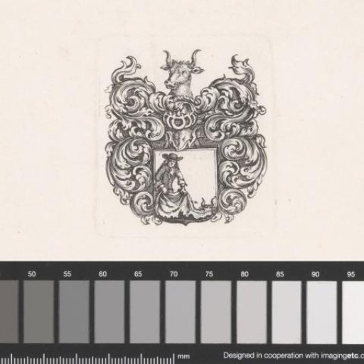 Coat of arms with an ox's head