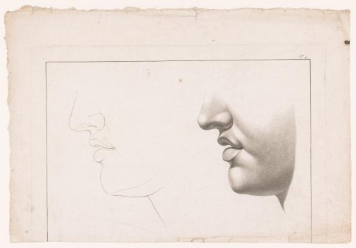 Nose and mouth