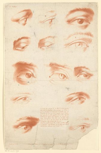 Thirteen studies of eyes