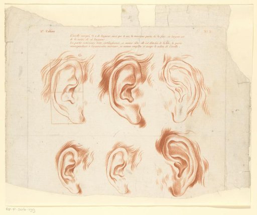 Six studies of ears