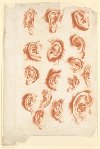 Sixteen studies of ears