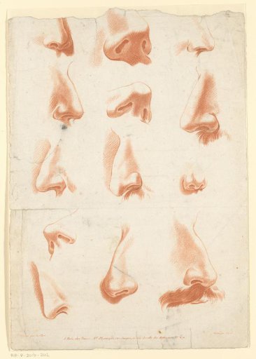 Thirteen studies of noses