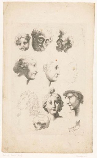 Studies of heads