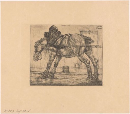 Draft horse with a sack of oats