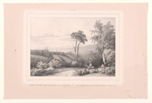 View of a rolling landscape with a country road in Indonesia