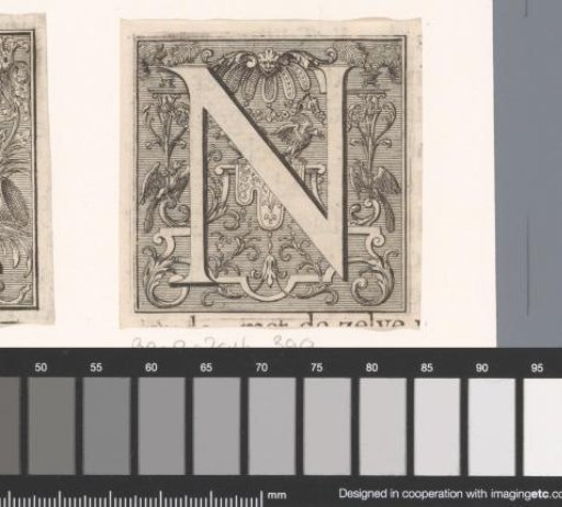 Letter N