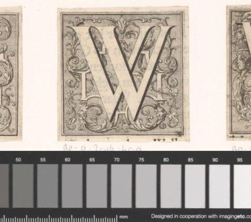 Letter W