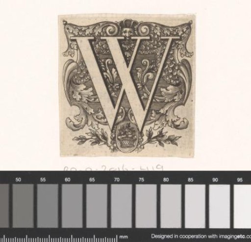 Letter W