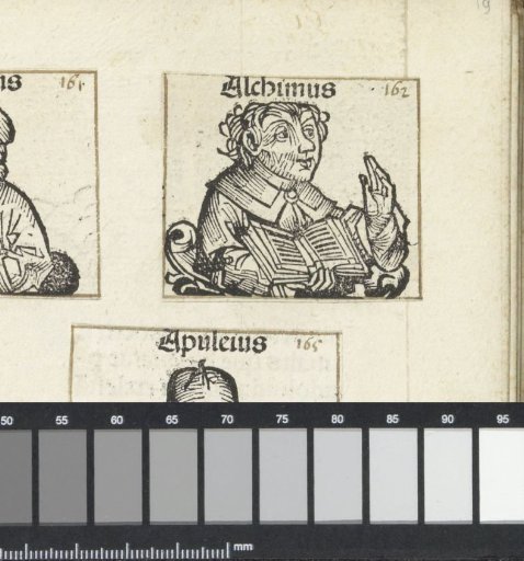 Alkimus